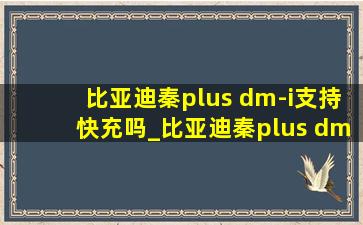 比亚迪秦plus dm-i支持快充吗_比亚迪秦plus dm-i支持(低价烟批发网)电网吗